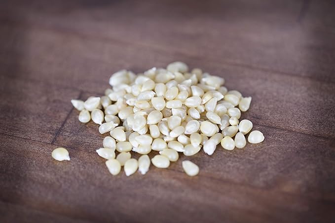 Amish Country Popcorn | 25 lb Bag | Medium White Popcorn Kernels | Old Fashioned, Non-GMO and Gluten Free (Medium White - 25 lb Bag)