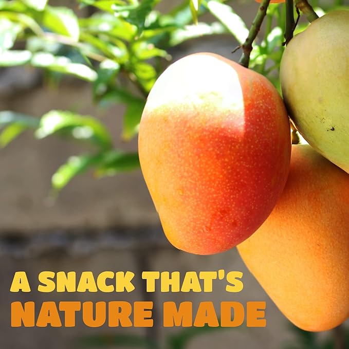 Dried Mango Slices - Delicious Texture Soft & Juicy Low Sugar Added Dried Mango - Naturally Ripened Mangos Dried Fruits - Gluten Free Dry Mangoes Natural Source of Vitamin C, Fiber, (8 oz Single Pack)