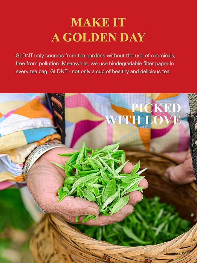 GLDNT Organic Black Tea Bags, Natural Organic Black Tea, Smooth & Mellow Flavor, Caffeinated, Hot & Iced Tea, 100 Count