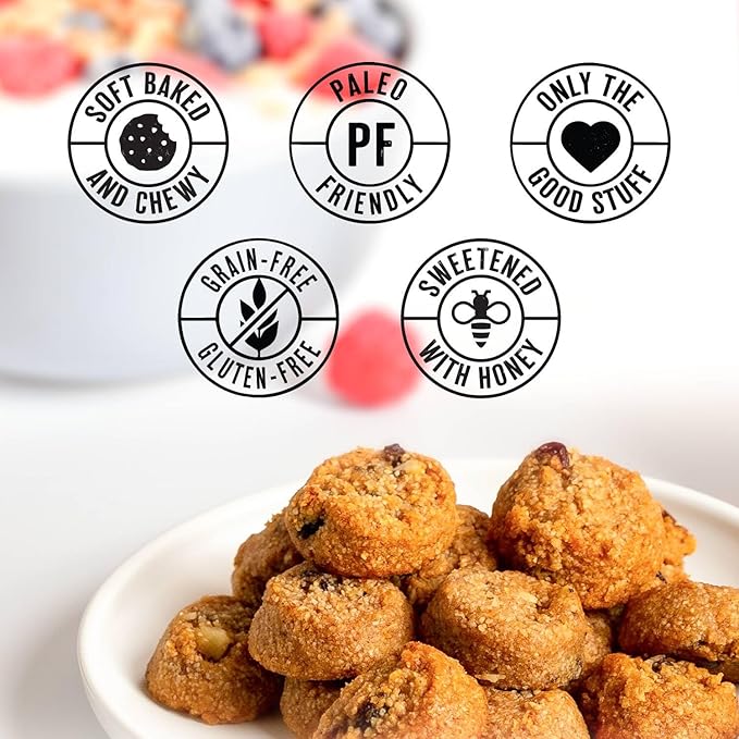 Ona Cinnamon Raisin Cookies 4-pack, Made with Honey, Ready to eat, Gluten free, Grain free, Dairy free, Paleo