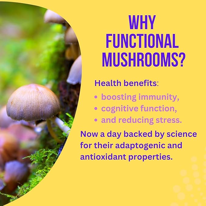 SAYUU Mushroom Chicory Blend ??Caffeine-Free Coffee Alternative with Lion's Mane, Reishi, Turkey Tail ??Supports Digestion, Focus & Immunity ??Vegan & Eco-Friendly, 30 Servings