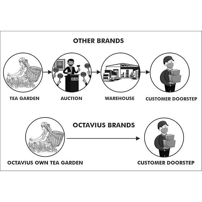 Octavius Gift's Select - Assorted Tea in Wooden Box | 6 Flavors, 120 Tea Bags | Black & Green | Tea Gifts for Women & Men | Pack of 1