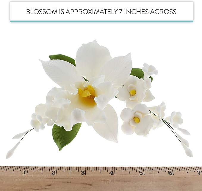Global Sugar Art Cattleya Orchid Sugar Cake Flowers Arched Spray, White, 1 Count by Chef Alan Tetreault