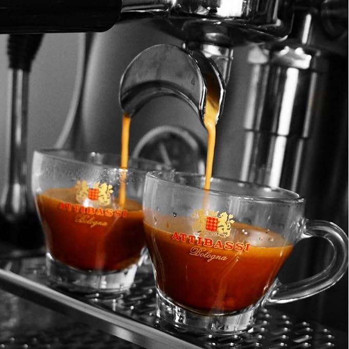 Attibassi Intenso – 100 Espresso Capsules – Compatible with Original Line Machines – Strong Italian Roast – Full-Bodied Flavor – Made in Italy