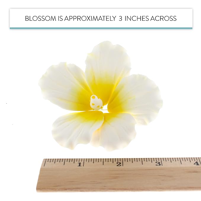 Global Sugar Art Hibiscus Sugar Cake Flowers, White with Yellow, Hawaiian Cake Flower Large 3 Count by Chef Alan Tetreault