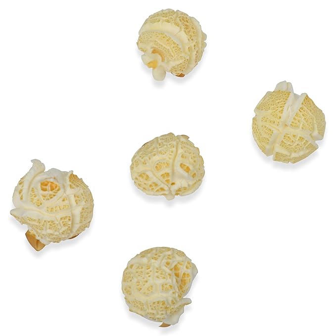 Princeton Popcorn Mushroom Hulless Popcorn Kernels ??Easy-Eating, Ball Shaped Tender Popping Corn, Non-GMO Popcorn Kernels, No Hulls, Farmer Direct, Microwave Air Popper or Stovetop 32oz Jar