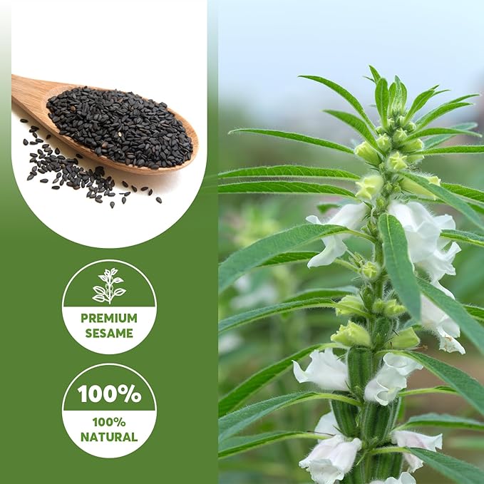 ONETANG Organic Black Sesame Powder,Plant Based,Gluten-Free,Vegan,Protein Source No Sugar,Low Temp Roasted,Halal,Non-GMO,Black Sesame Paste 12.36 Oz (350g)