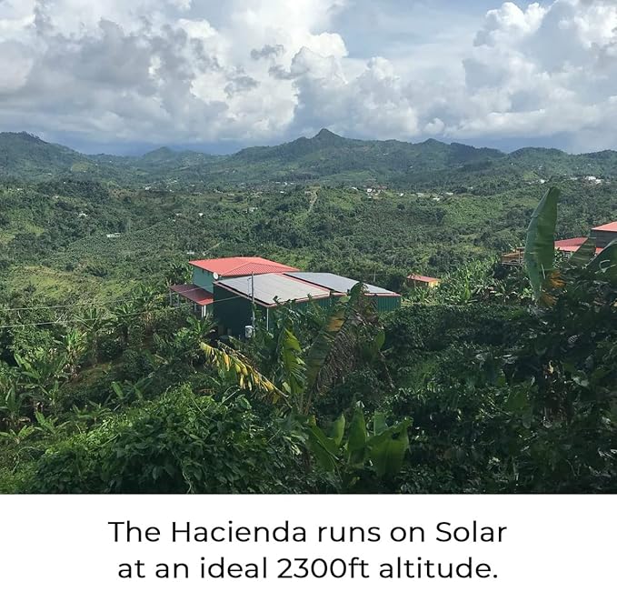 Julian Coffee - Whole Bean, Specialty Grade Single Origin Arabica Coffee From Puerto Rico. Low Acid. 12oz.