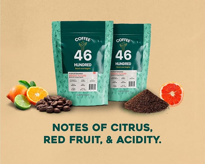 COFFEE 46 HUNDRED® Huehuetenango - Whole Bean Specialty Coffee from Guatemala - 100% Arabica Single Origin - Medium Roast - 311g/11oz - High Altitude Coffee - Grown at 6,200 ft