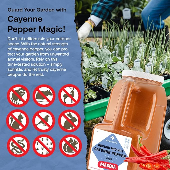 Dependable Food Ground Red Pepper | 6 Lb. Jar | 40,000 SHU Heat | Bulk, Kosher Cayenne Pepper Seasoning for Chefs, Restaurants, and Culinary Enthusiasts - 100% Pure Red Pepper Powder - Non-GMO - Adds Fiery and Spicy Kick to Dishes - Allergen Free