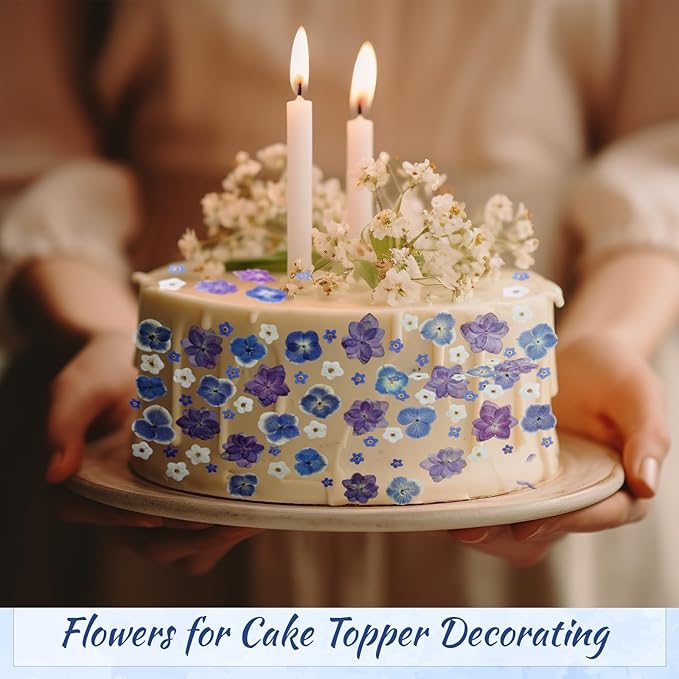 96 Pcs Natural Dried Pressed Edible Flowers for Cake Topper Decorating Cupcake Toppers Cocktails Resin Jewelry Making DIY Art Crafts(Blue,Flower Style)