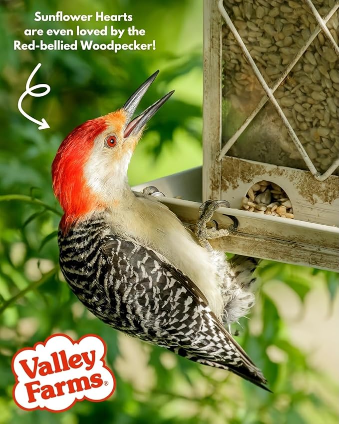 Valley Farms Whole Sunflower Hearts for Birds (40 LB) No Mess Bird Seed for Outside Feeders, Attract Finches, Cardinals, & More Wild Birds, Very Clean Sunflower Seeds