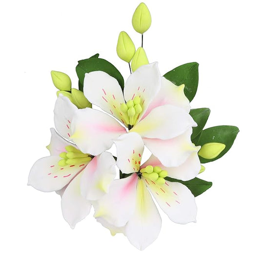 O'Creme Gumpaste Flower Spray, Alstroemeria - Edible Flowers for Cake Decorating - Sugar Paste Flower Decorations for Cakes, Candy, Cupcake Toppers - Birthday Party, Wedding, Valentines Day