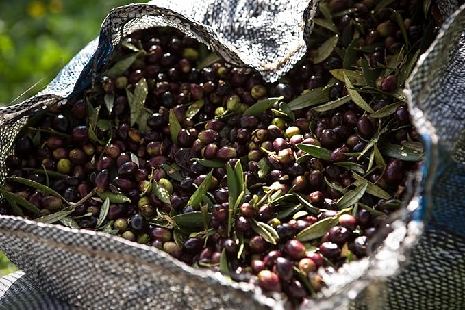 Threpsi Organic Extra Virgin Olive Oil | Extracted Cold | 100% Koroneiki Olives | Grown by Small Family Farmers near Kalamata