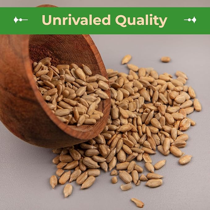 Sincerely Nuts Organic Sunflower Seed Kernels Raw (No Shell) (3lb bag) | Nutritious Antioxidant Rich Superfood Snack | Source of Protein, Fiber, Essential Vitamins & Minerals | Vegan and Gluten Free