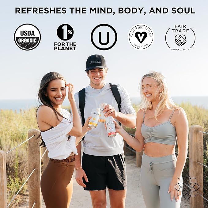 Steaz - Organic Green Tea - Mint (12 Pack) - Antioxidant Brew - 65mg Natural Caffeine, 90 Calories, Vitamin C - Cane Sugar Sweetened Iced Tea - Vegan, Fair Trade - 12 Cans, 16 fl oz (473mL)