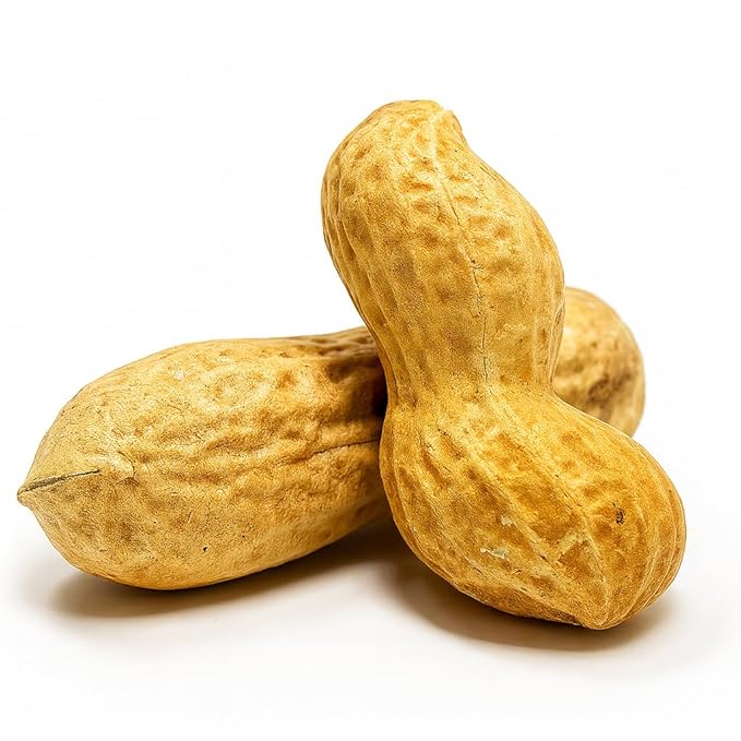 Sky | Premium USA Grown, Raw Peanuts in Shell for Squirrels, 4lb | Jumbo Unsalted Peanuts in The Shell.
