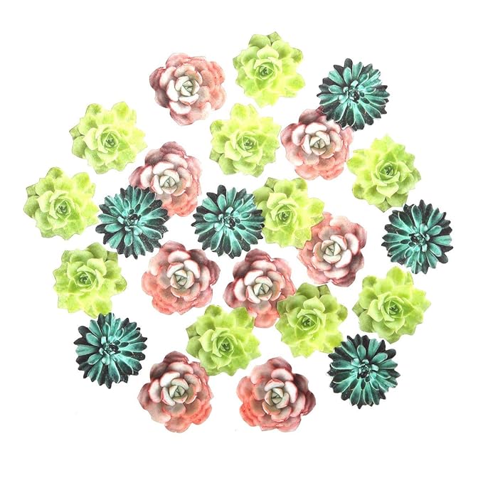 24pcs Edible Cupcake toppers Succulents Hawaiian Party Cake Summer Decoration,Not 3D ??,<div>