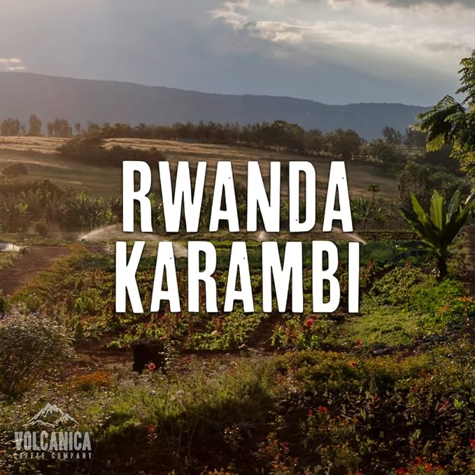 Rwanda Coffee, Karambi Bourbon, 100% Pure, Whole Bean, Fresh Roasted, 16-ounce