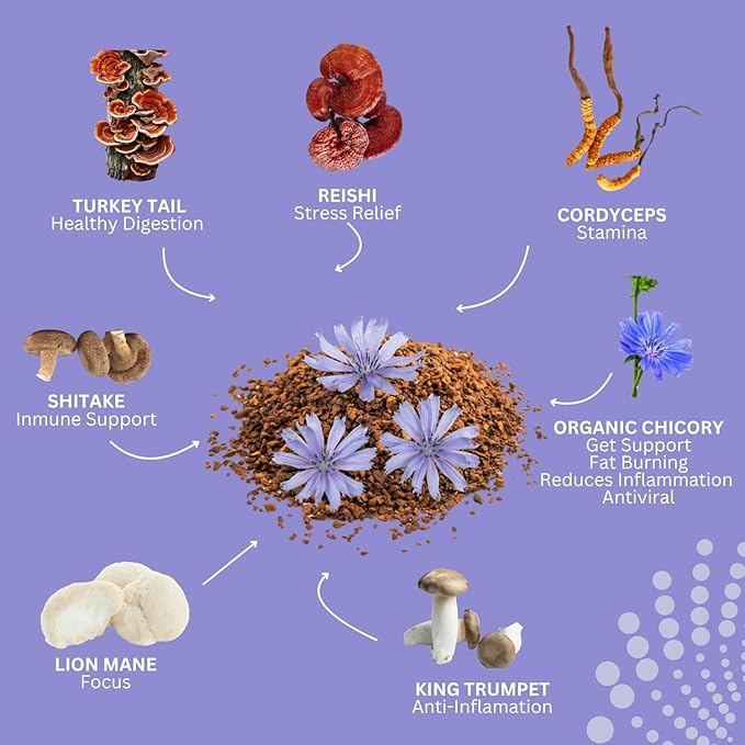 SAYUU Mushroom Chicory Blend ??Caffeine-Free Coffee Alternative with Lion's Mane, Reishi, Turkey Tail ??Supports Digestion, Focus & Immunity ??Vegan & Eco-Friendly, 30 Servings
