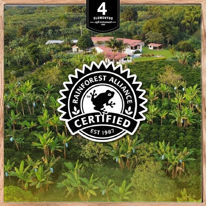 4 Elementos | Whole Bean Specialty Coffee, Medium Roast, 100% Arabica from Colombia, Chocolate, Caramel & Orange Notes, 12oz