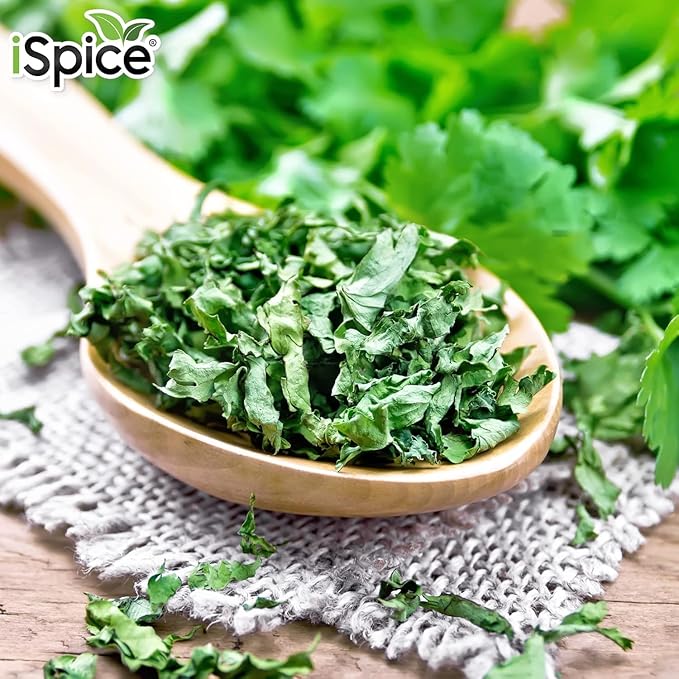 iSpice PREMIUM FULL-FLAVORED CILANTRO LEAVES (Coriander Leaves)| Pure and Fresh, Aromatic |Essential Kitchen Herbs |1.3 oz (36g)