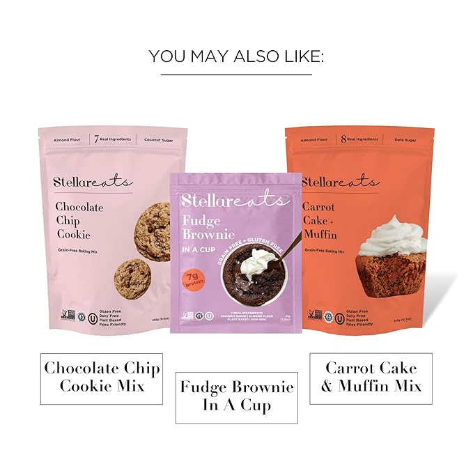 Stellar Eats Grain-Free Gingerbread Cookie Baking Mix | Gluten-Free, Dairy-Free, Plant-Based, Paleo-Friendly | Sweetened with Coconut Sugar | Almond Flour-Based | Non-GMO, Kosher | 8.5 oz | 1 Pack