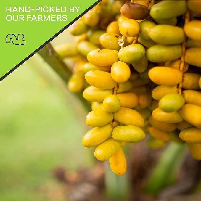 NUT CRAVINGS - Sun Dried Deglet Noor Dates Pitted, No Sugar Added, Unsulphured (16oz, 1 LB) Bulk Dry Fruits Packed Fresh in Resealable Bag - Sweet Healthy Snack, Naturally Grown, Vegan, Kosher