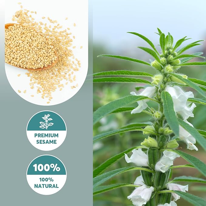 ONETANG Organic White Sesame Powder,No Sugar,Plant Based,Low Temp Roasted,HALAL,NON-GMO,White Sesame Paste 12.3 Oz (350g)