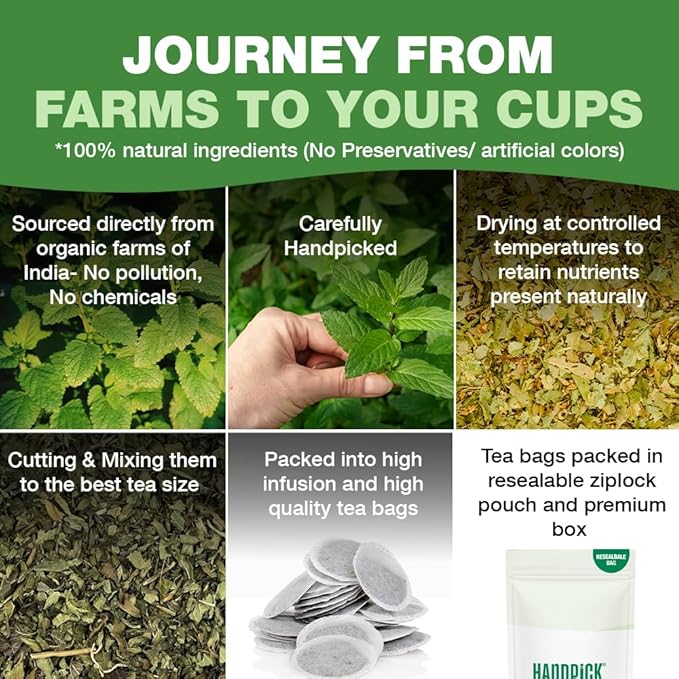 HANDPICK Lemon Balm Tea Bags ??100 Count | 100% Pure Natural Dried Lemon Balm Herb | Caffeine-Free Herbal Tea with Citrus Flavor & Aroma | Round Eco-conscious Teabags