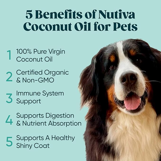 Nutiva Organic, Cold-Pressed, Unrefined, Virgin Coconut Oil from Fresh, non-GMO, Sustainably Farmed Coconuts, 15 Fl Oz (Pack of 2)