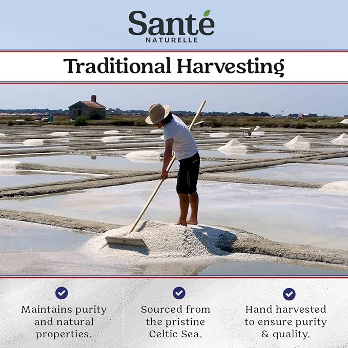 Sante French Fine Ground Sea Salt Shaker - 8 oz. Salt From the Celtic Sea, Unrefined French Sea Salt Organic, Rich in 82+ Minerals, 100% Natural & Hand Harvested