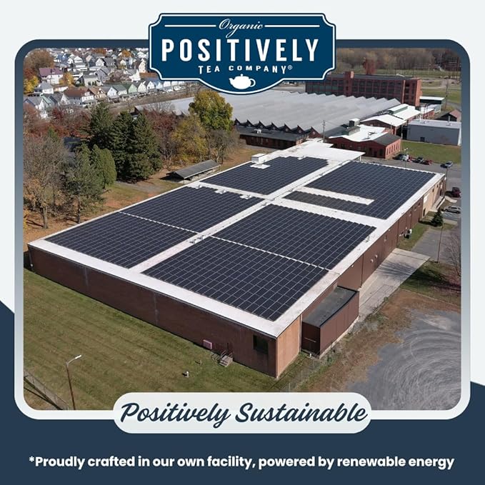 Organic Positively Tea Company, Organic Black Tea Bags, 100 Count, Eco-Friendly Tea Bags, Non-GMO