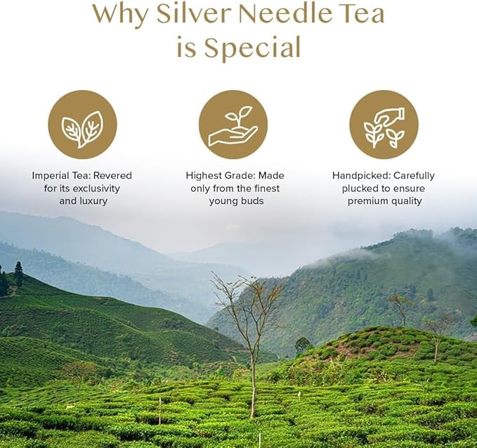 VAHDAM, Silver Pine Needle White Tea Loose Leaf 50g | Caffeine Free, Gluten Free | Pure Unblended Loose Leaf Tea | Vacuum Sealed | Brew As Hot, Iced Or Kombucha Tea