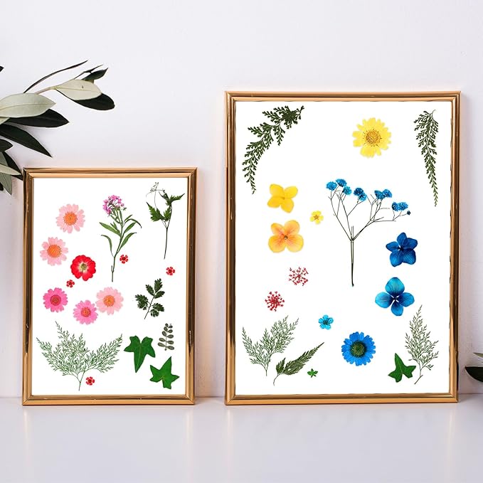 Nuanchu Pressed Flowers Bulk Dried Flower for Crafts, Dried Wildflowers Leave Natural with Tweezer for Resin Mold Scrapbooking Nail Soap Making DIY(Colorful Style,Mixing Color)