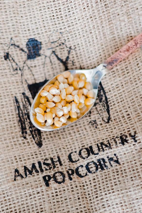 Amish Country Popcorn | 2-2 lb Bags | Baby Yellow Popcorn Kernels | Old Fashioned, Non-GMO and Gluten Free (2-2 lb Bags)