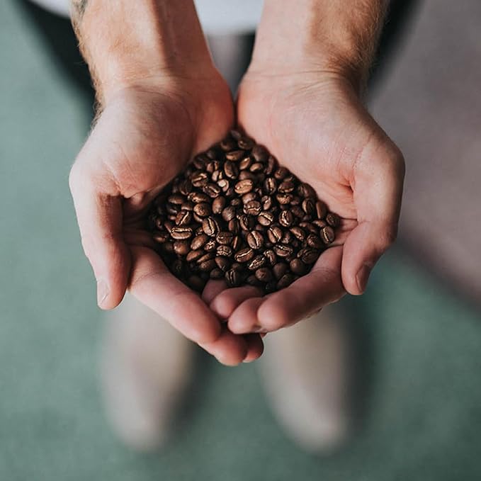 Coffee Bean Direct Organic Fair Trade Mexican Chiapas, Whole Bean Coffee, Light Roast, 1 Pound Bag (Pack of 1)
