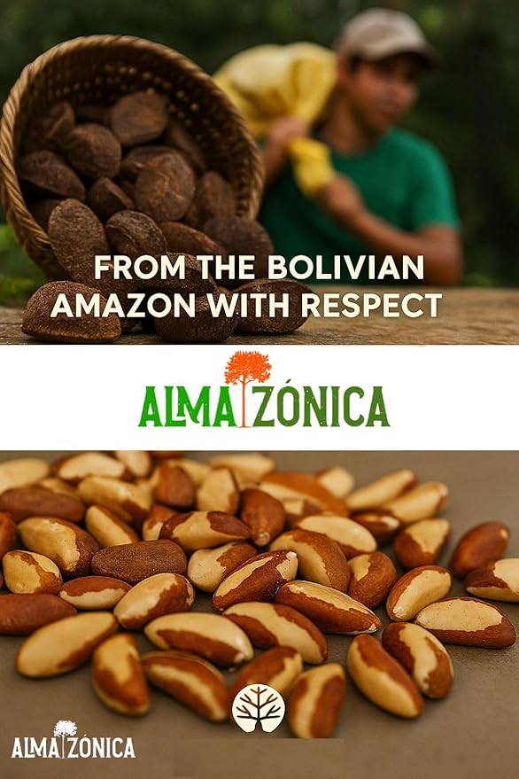 ALMA ZÓNICA – Raw unsalted premium Brazil Nuts, 1 pound (16oz) | Unsalted, Gluten-Free, Kosher | Rich in Selenium, Antioxidants & Healthy Fats | Resealable Bag | Sustainable & Ethically Sourced