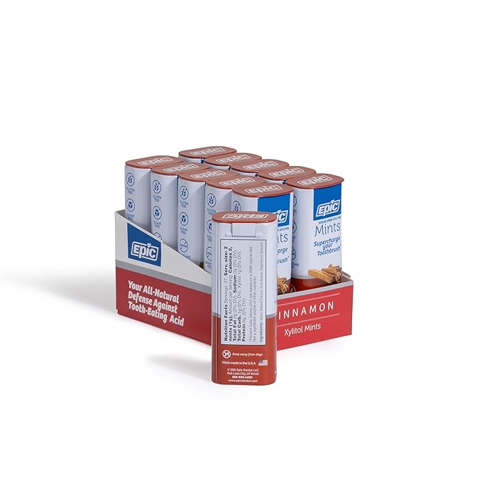 Epic 100% Xylitol Mints - Aspartame Free, Sugar Free - Cinnamon Flavored Mints, 55 Pieces (Pack of 10)