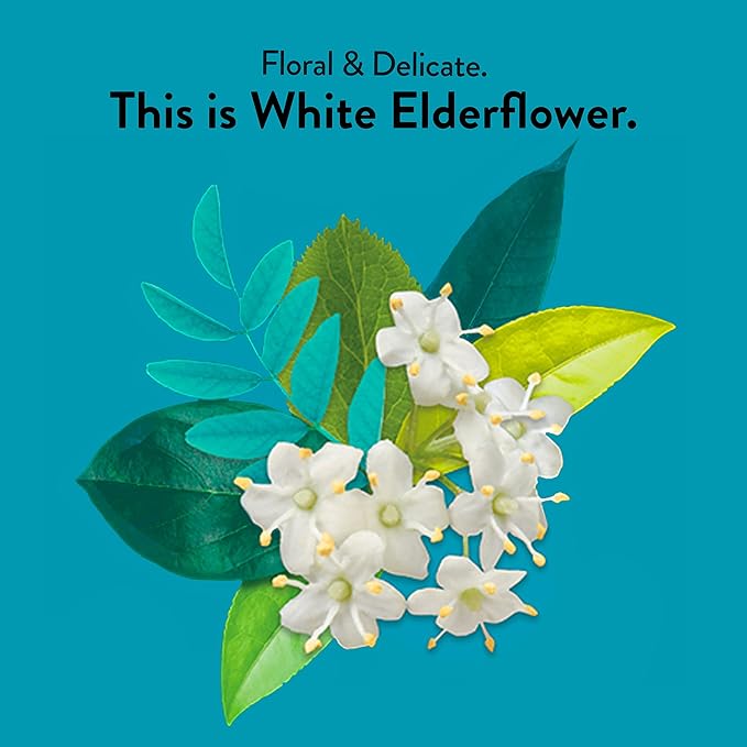 Choice Organic Teas White Elderflower Tea - Organic White & Green Tea - 16 Tea Bags (Pack of 1)