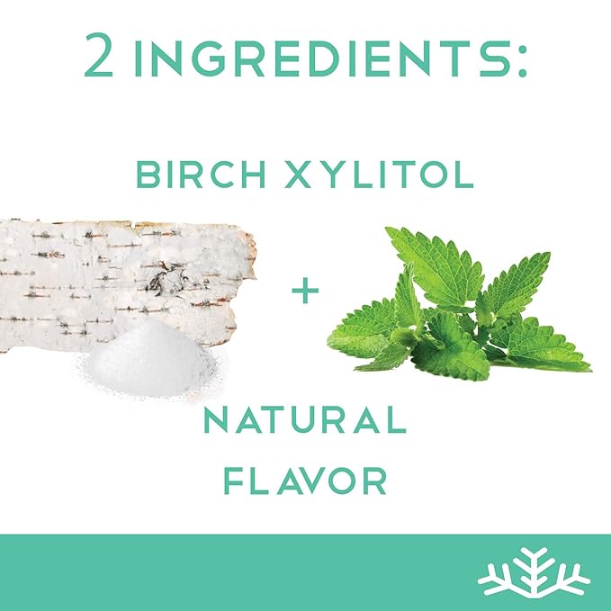 SN횠 Lemon & Wintergreen Xylitol Candy Chips - SN횠 (1LB Bag x 2) - Sugar-Free Candy With Only 2 Ingredients | Pure Birch Xylitol | Low Carbs, Diabetic-Friendly, Non-GMO, Vegan, GF & Kosher