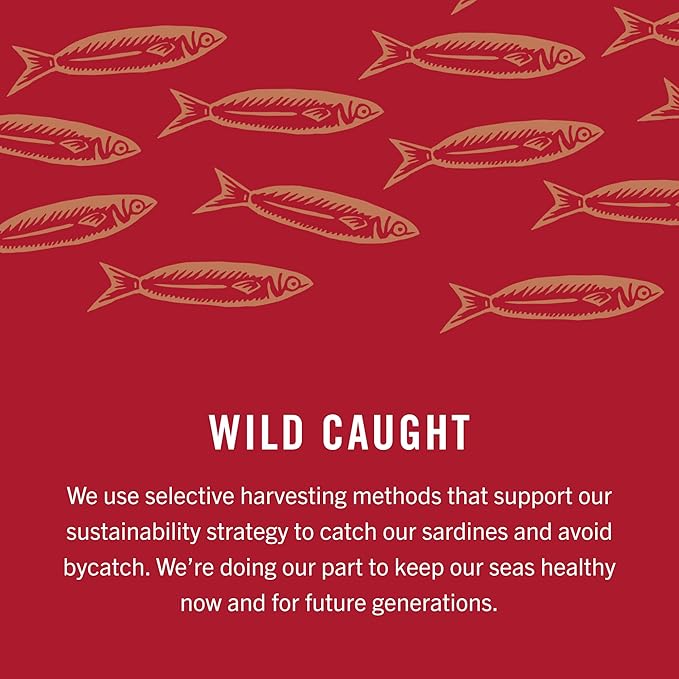 King Oscar Premium Sardines in Zesty Tomato Sauce, 3.75 Ounce Cans (Pack of 12), Wild Caught Canned