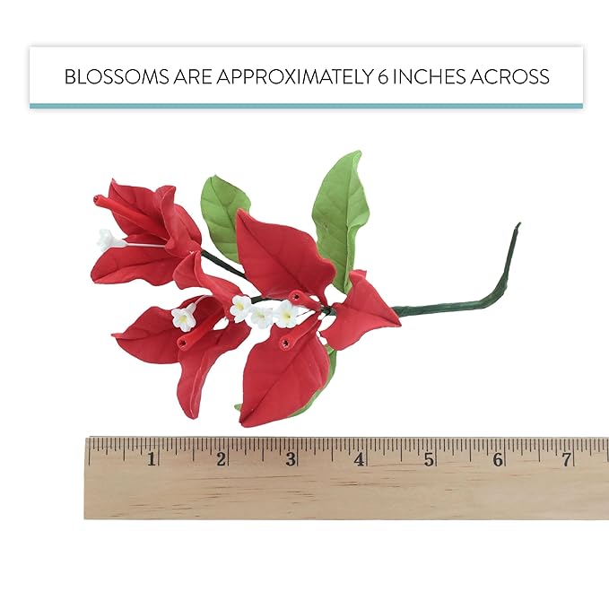 Global Sugar Art Exquisite Red Bougainvillea Sugar Cake Flowers, 6 Count by Chef Alan Tetreault (Red)