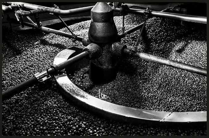 V Vescovi Bio Organic Coffee Beans | Premium Italian Espresso Beans | Medium Roast | 2.2 lb/1kg