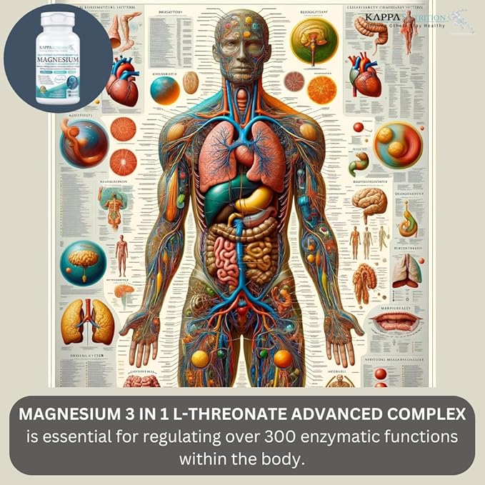 Kappa Nutrition Magbrain??Magnesium L-Threonate Plant-Based, 420mg Elemental Magnesium (3 Capsules) from 2,253mg, 120 Vegan Capsules, Brain, Sleep & Muscle Support.