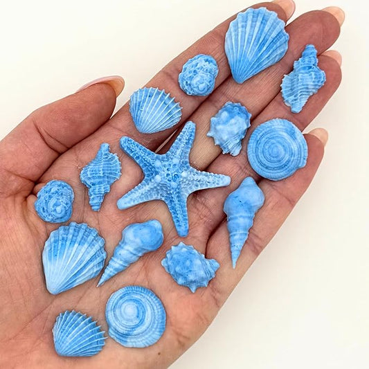 15 Dye Free Seashell Edible Cake Decorations, Vegan, Gluten-Free, Edible Cake Toppers for Cupcakes, Cookies & Desserts, by Simply Sucrì±?(45 Pieces (Bulk Box), Blue)