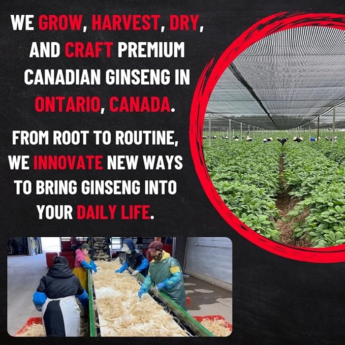 Canadian Vita Ginseng Vietnamese Instant Coffee - Unique Fusion of Canadian Ginseng & Vietnamese Coffee - Rich, Bold & Earthy Flavour - Energy | Focus | Immunity - 10 Sticks