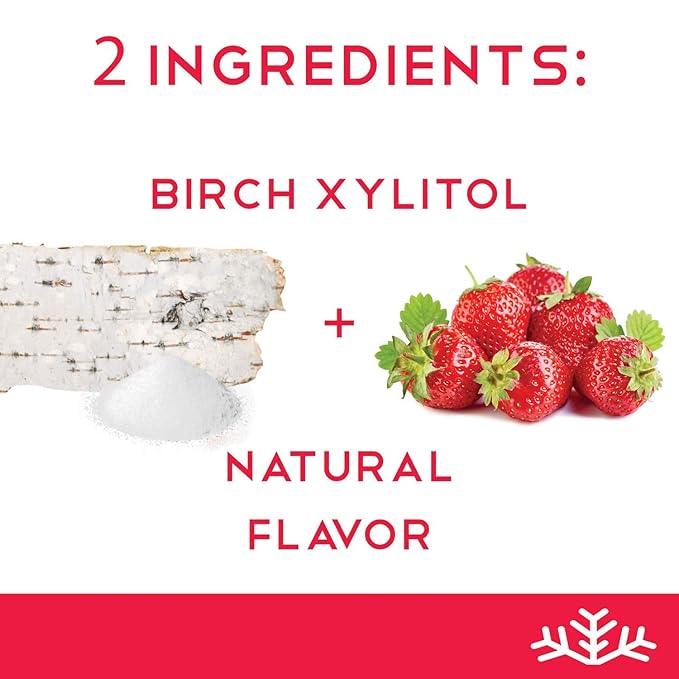 SNØ Fruity Assortment Xylitol Candy Chips (3-Pack) - SNØ 1.5oz Tin - Sugar-Free Candy | Pure Birch Xylitol | Low-Carb, Diabetic-Friendly | Vegan, Non-GMO, Gluten-Free Kosher, Keto-friendly