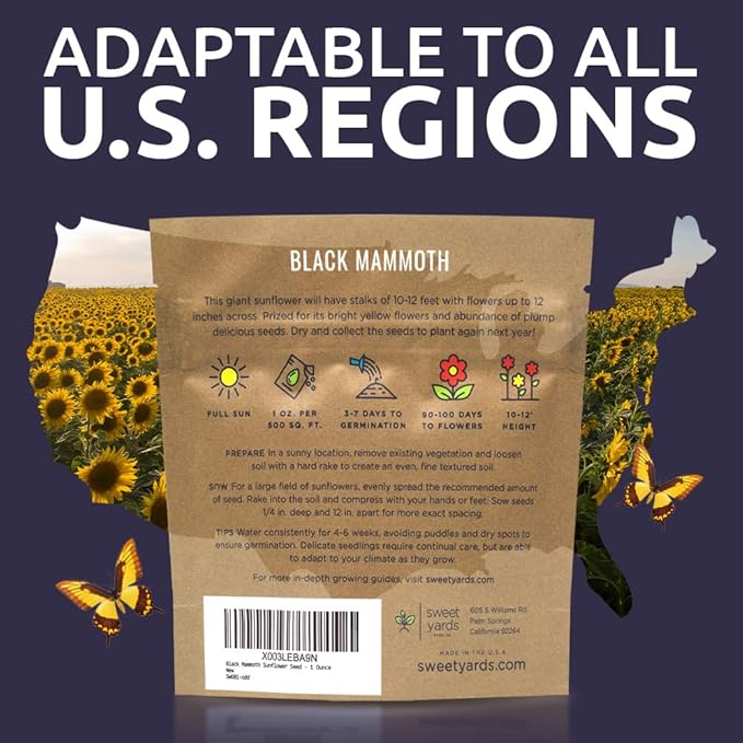 Black Mammoth Sunflower Seeds for Planting – Extra Large Packet – Over 250 Open Pollinated Non-GMO Flower Seeds – Helianthus annus