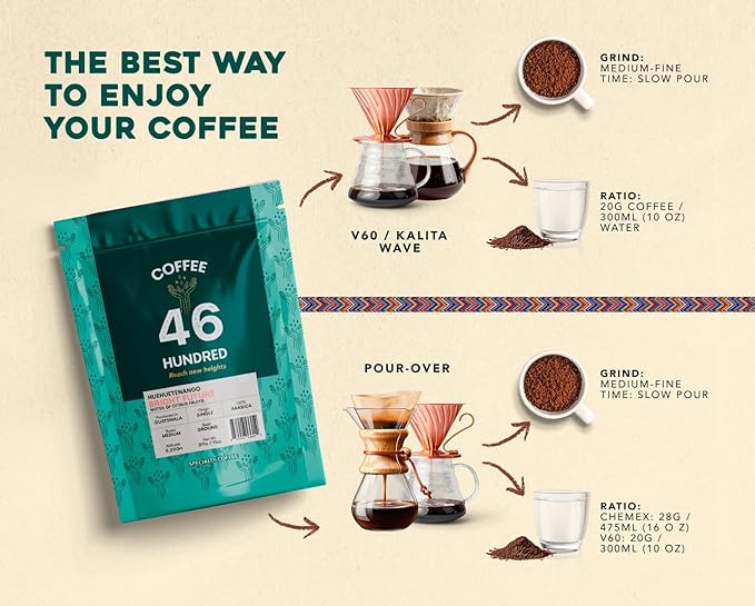 COFFEE 46 HUNDRED® Huehuetenango - Whole Bean Specialty Coffee from Guatemala - 100% Arabica Single Origin - Medium Roast - 311g/11oz - High Altitude Coffee - Grown at 6,200 ft